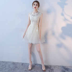 Lace Embroidered Short Tulle Party Evening Dress