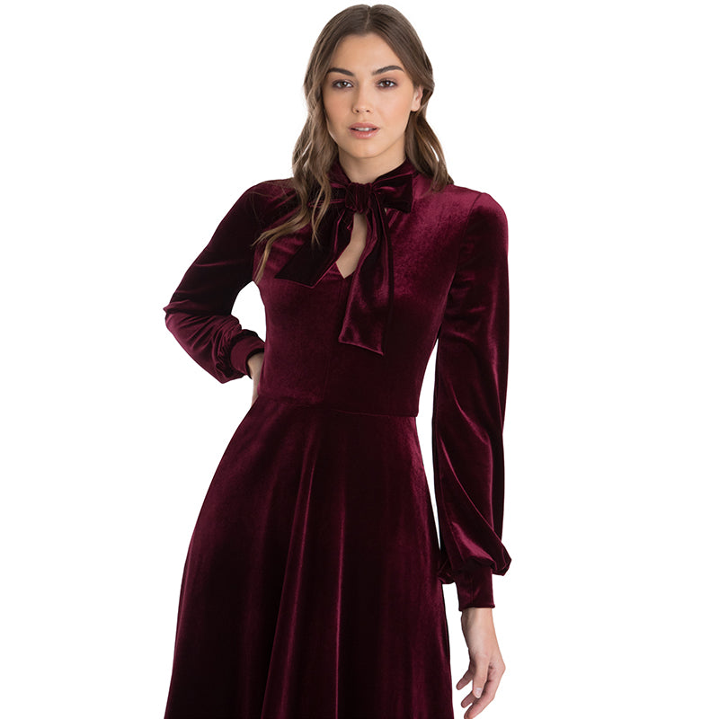 Gorgeous Velvet V Neck A-Line Long Sleeve Burgundy Dress