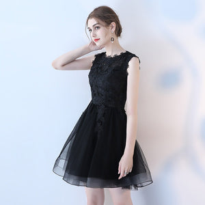 Lace Embroidered Short Tulle Party Evening Dress