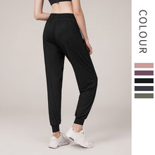 Load image into Gallery viewer, Quick Dry Loose Sports Pants Women Running Gym High Waist Pockets Yoga Casual Harem Pants
